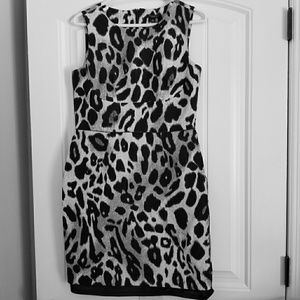 Ann Taylor leapord printed dress